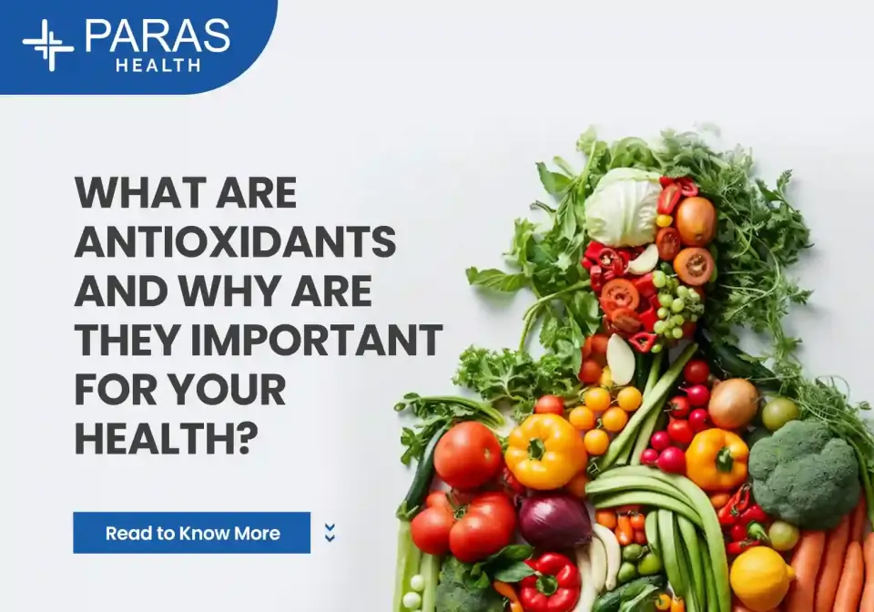 What Are Antioxidants and Why Are They Important for Your Health?